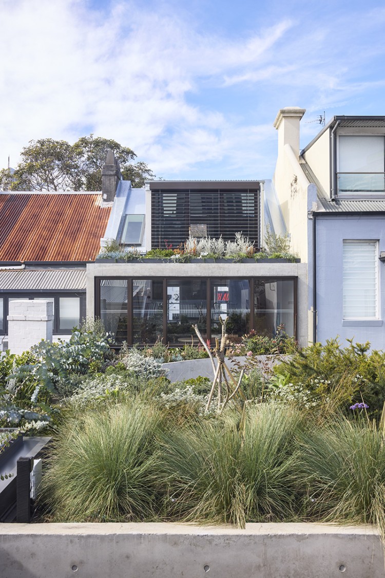 Darlinghurst Terrace